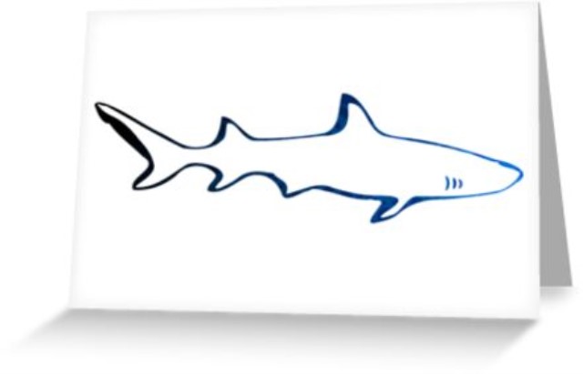 How To Write An Essay